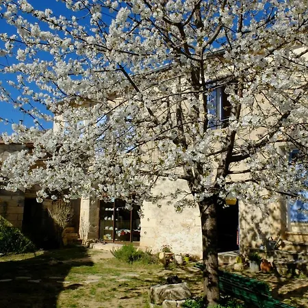 Bed & Breakfast D'hotes Dans Maison D'artiste Galargues